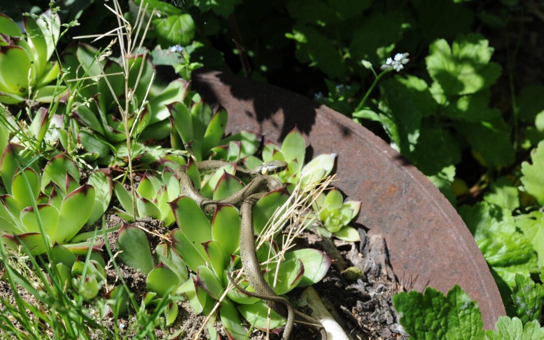 Das ging gerade noch gut