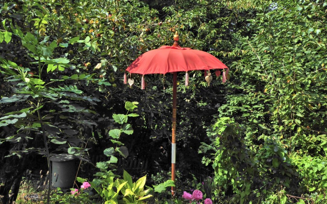 Unser TOSCAminni Garten