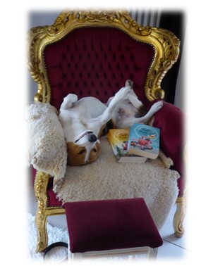 Ohne Krimi geht die Mimi nie ins Bett …